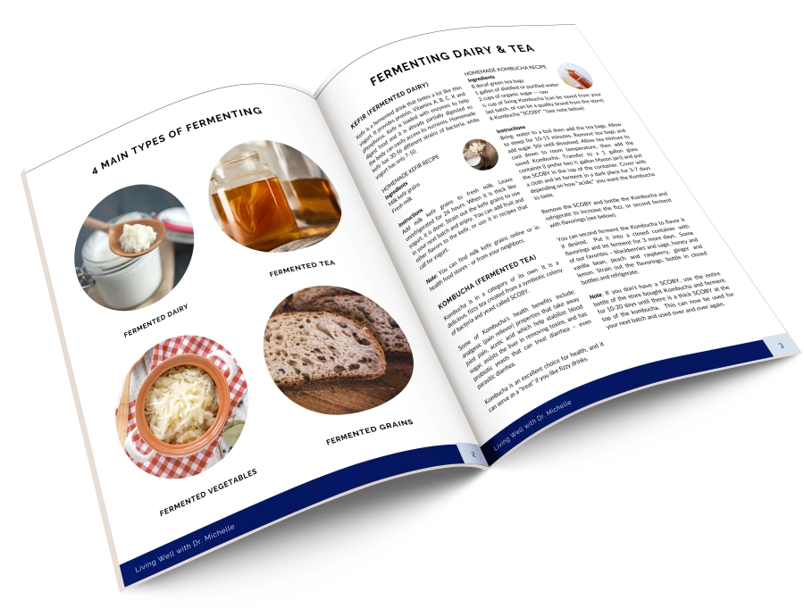 Fermentation-Guide-3d-Mockup