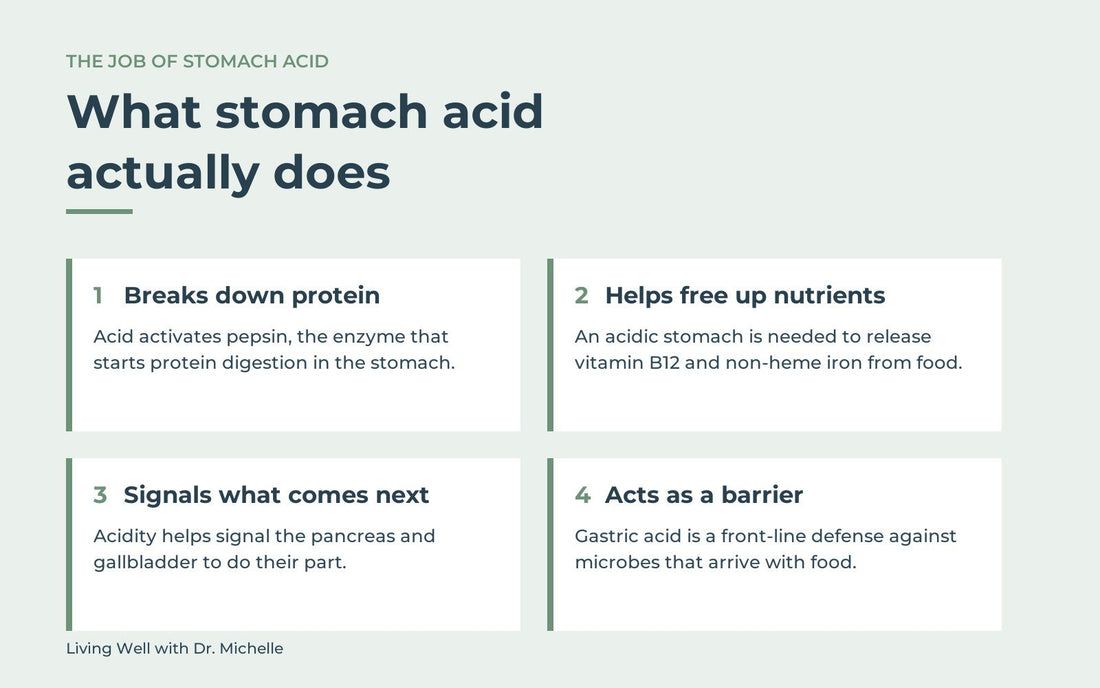 Diagram of the four jobs of stomach acid: breaking down protein, freeing up nutrients, signalling the next step of digestion, and acting as a barrier to microbes