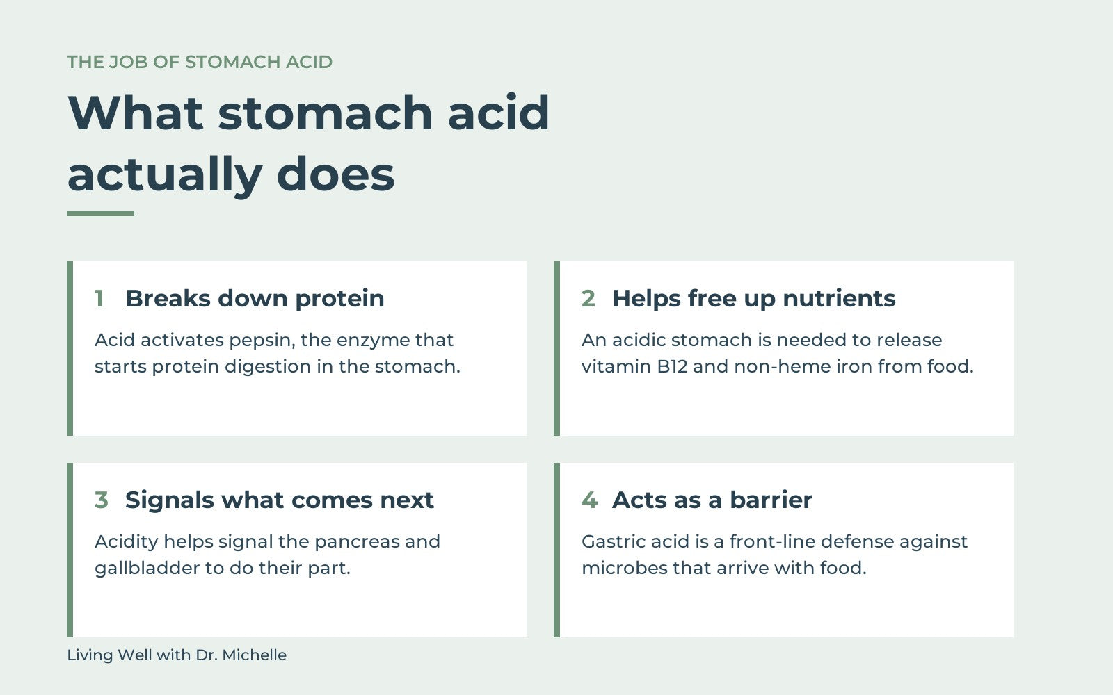 Diagram of the four jobs of stomach acid: breaking down protein, freeing up nutrients, signalling the next step of digestion, and acting as a barrier to microbes