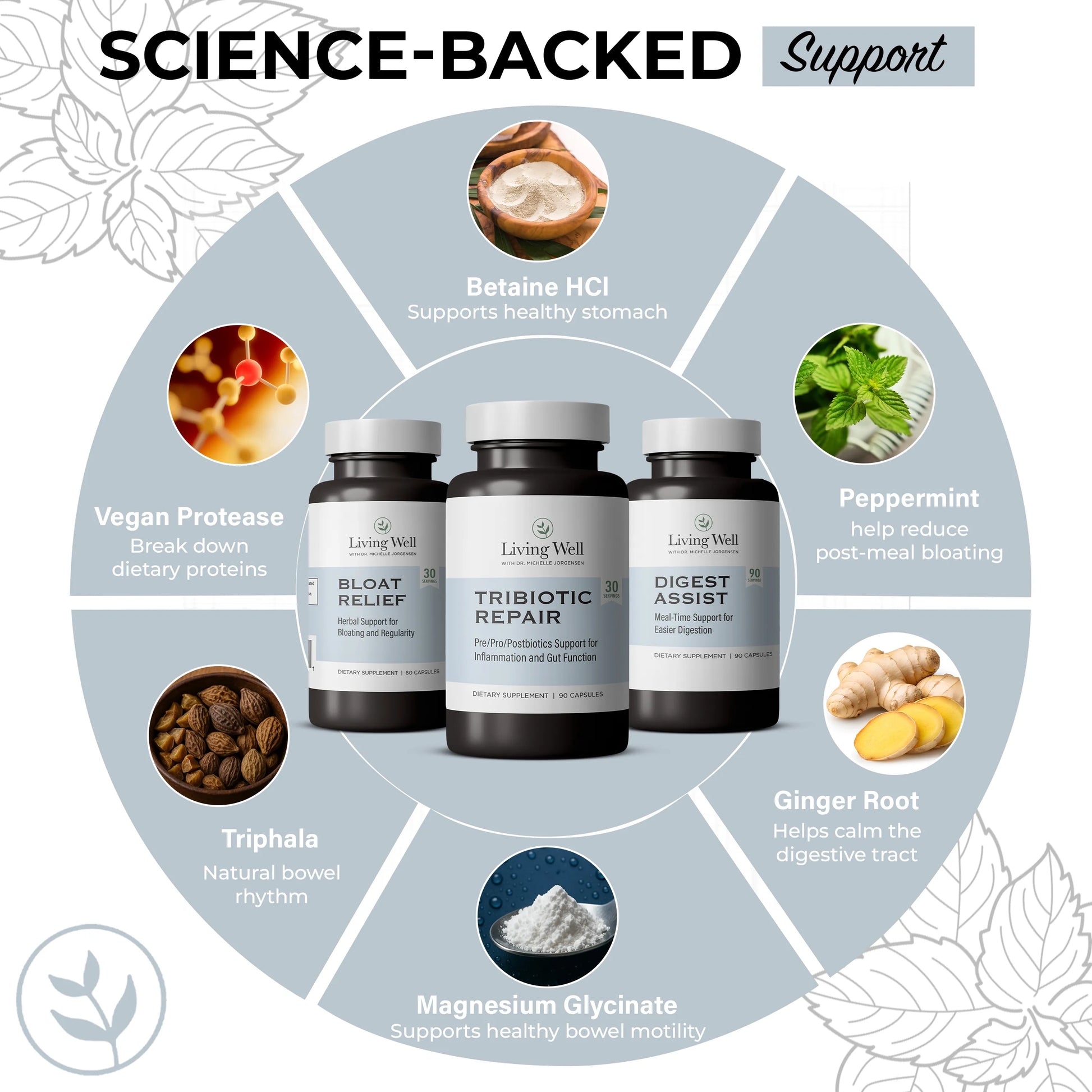 The Gut Reset Protocol gut health bundle back of bottles