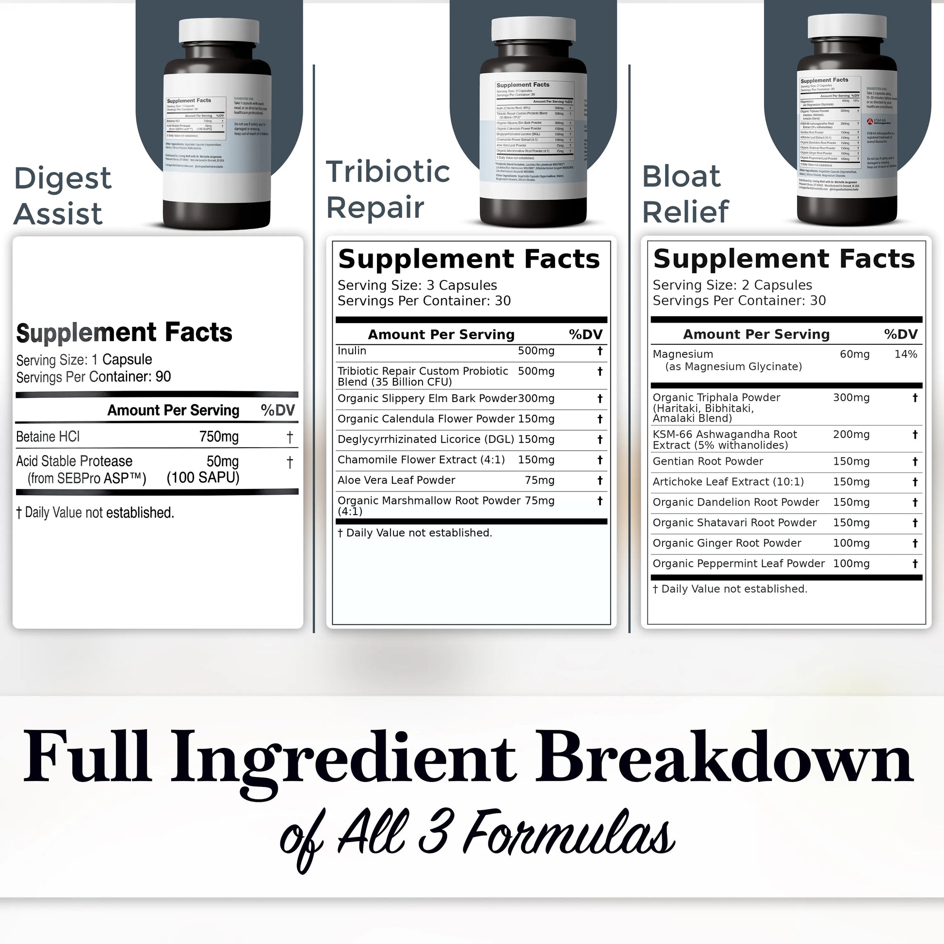 The Gut Reset Protocol gut health bundle usage instructions