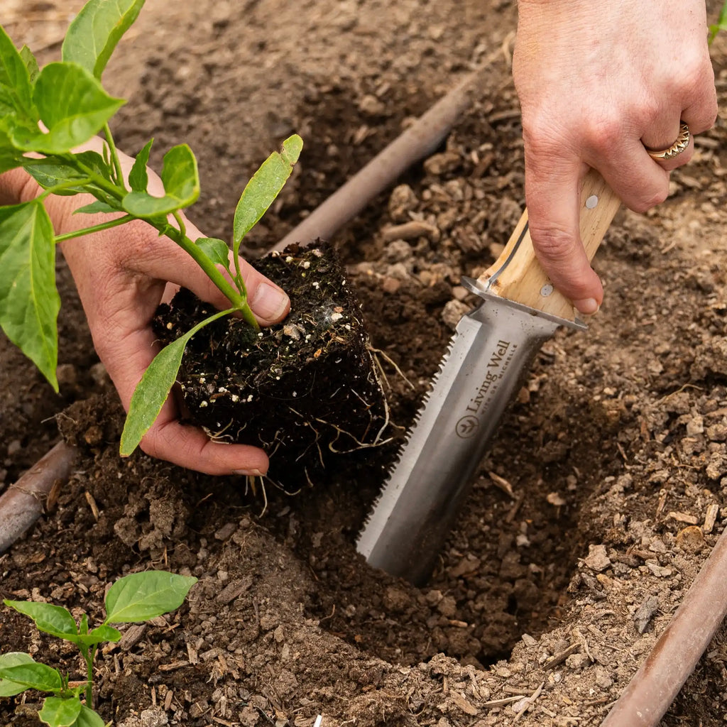Hori Hori Gardening Knife - Living well with Dr. Michelle Jorgensen Hori Hori Gardening Knife - Living well with Dr. Michelle Jorgensen