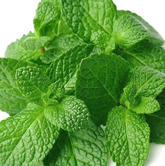 Peppermint Oil