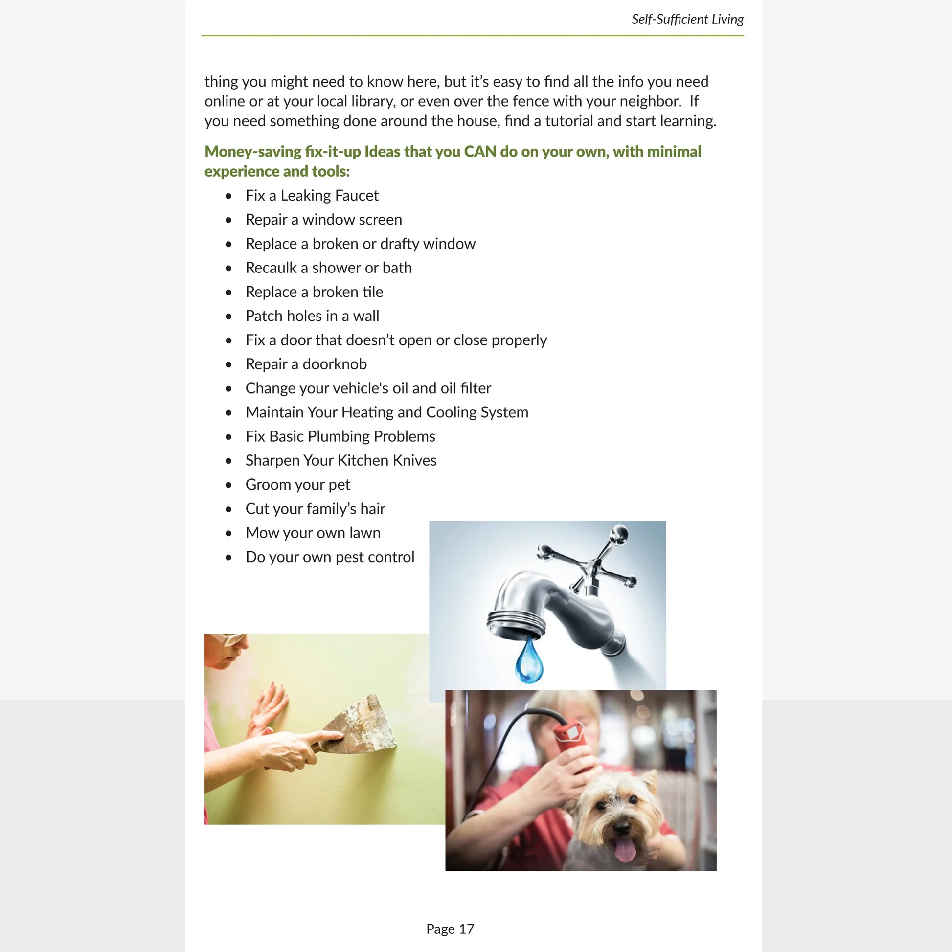 Self-Sufficient Living Digital eBook (Download)