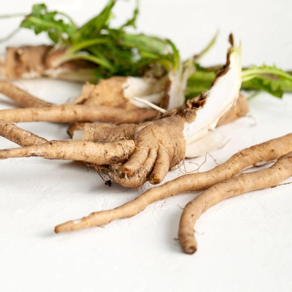 Prebiotic Fiber (Inulin – Chicory Root)
