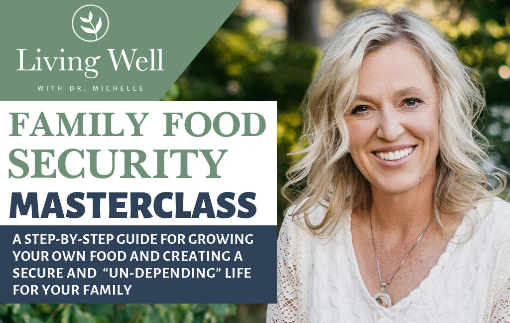 Family Food Security Masterclass
