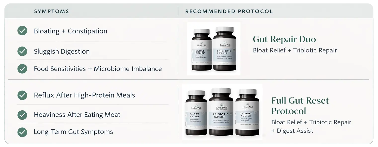 Infographic: the Gut Reset Protocol for healthy digestion