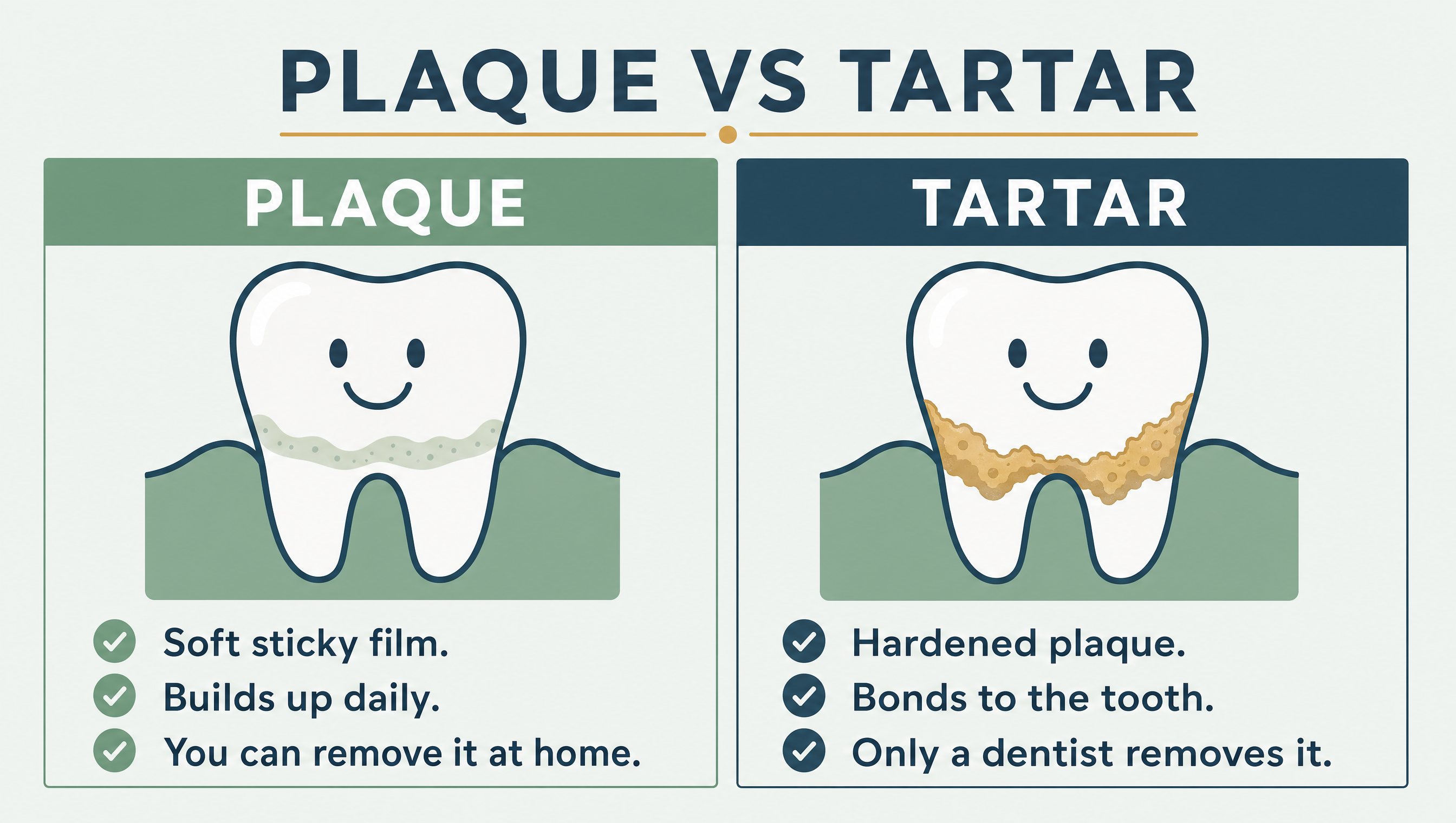 Plaque vs tartar: plaque is a soft sticky film you can remove at home, while tartar is hardened plaque that only a dentist can remove