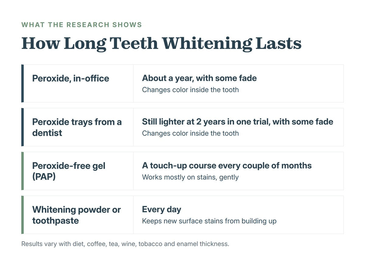 How long teeth whitening lasts by method: in-office peroxide about a year with some fade; peroxide trays from a dentist still lighter at two years in one trial; peroxide-free PAP gel a touch-up course every couple of months; whitening powder or toothpaste every day to keep new surface stains from building up