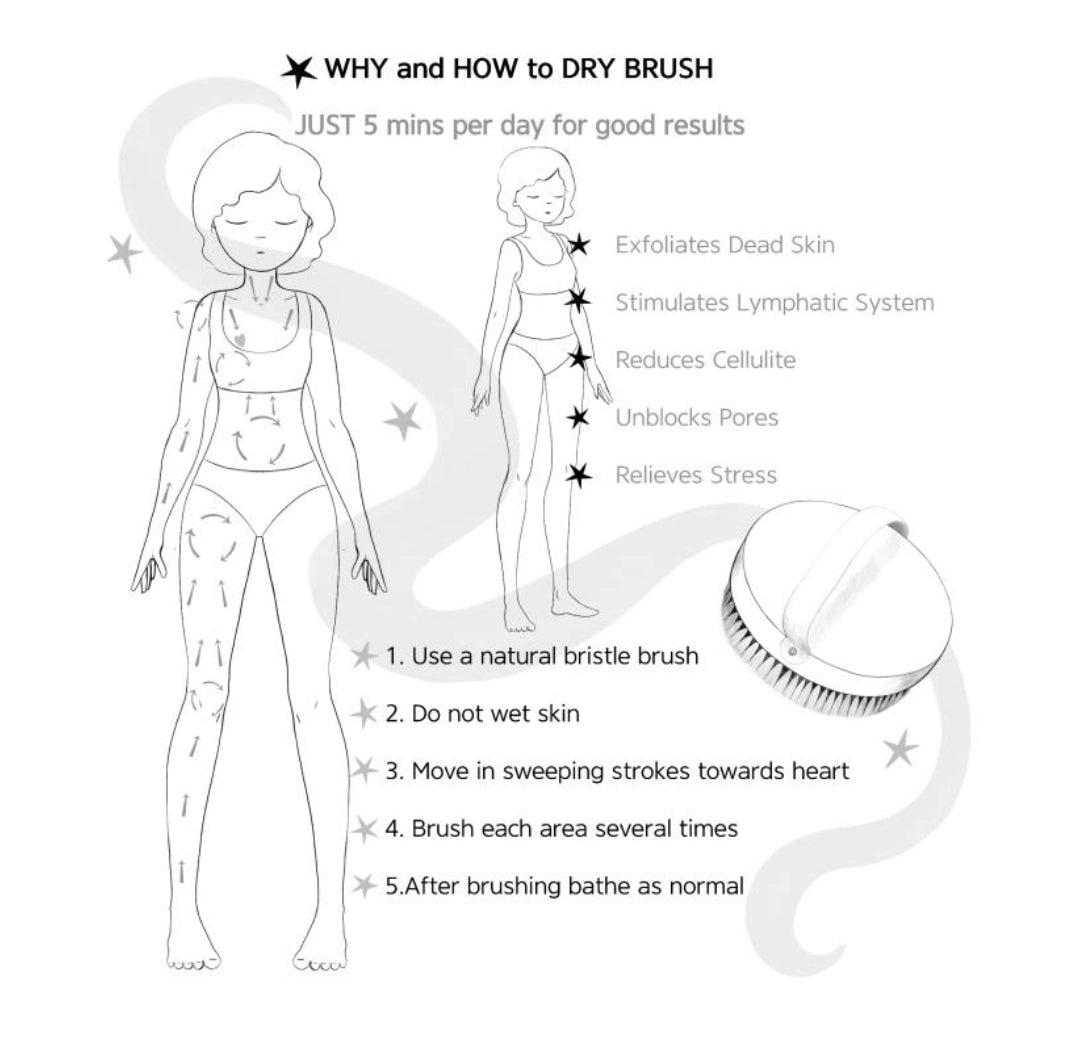 Living Well Lymphatic Dry Brush