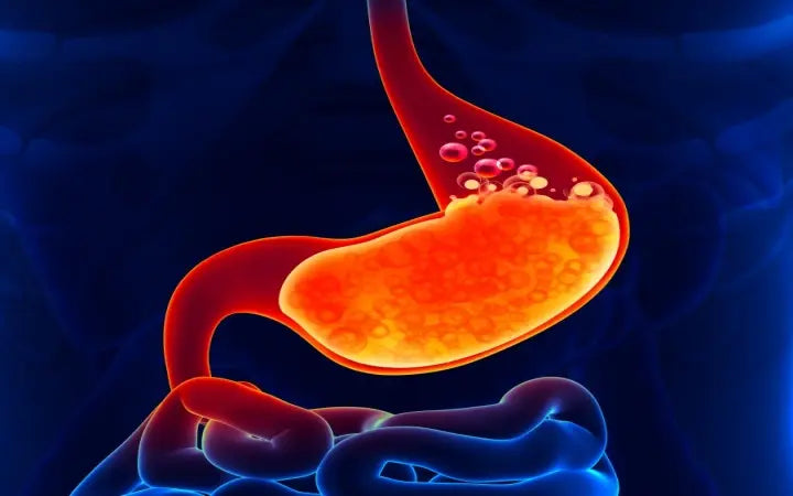 Low stomach acid and its role in digestion